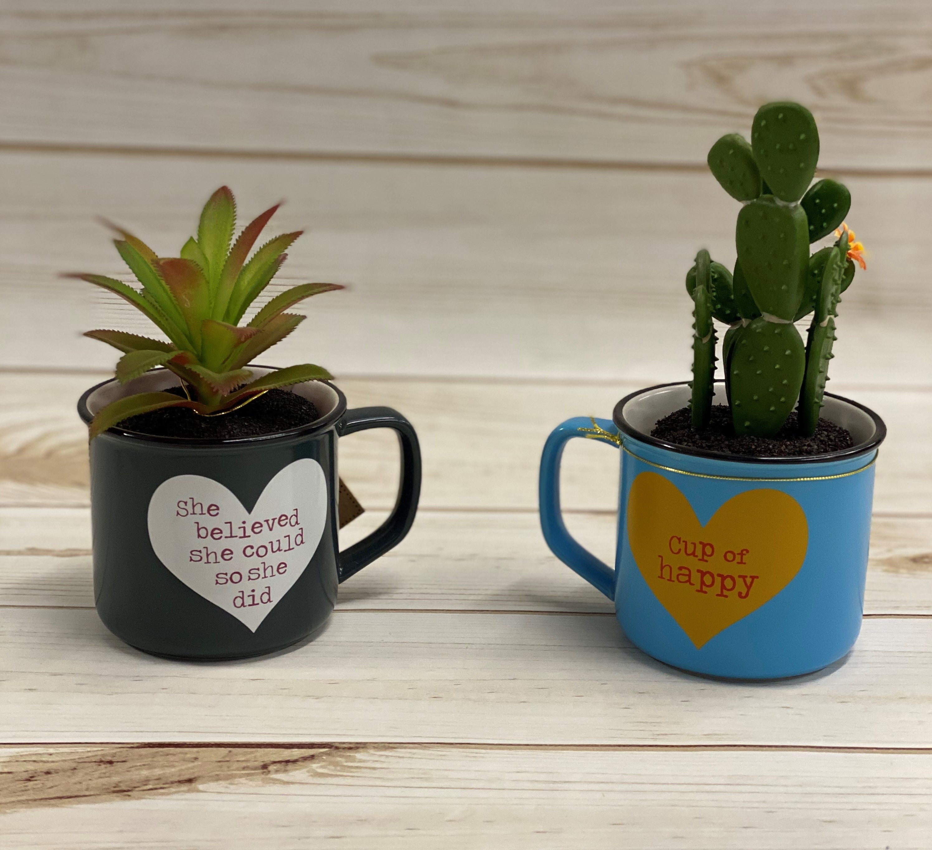 2 in1 Mug Succulent (Variety)
